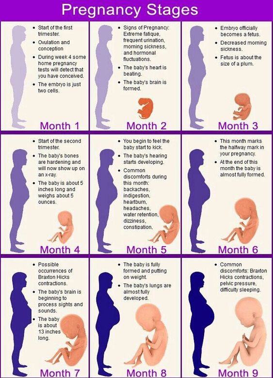 Pregnancy Stages...

#PregnancyStages #MumbaiBestGynaecologist #DrNeelimaMantri #BestGynecologistInMumbai