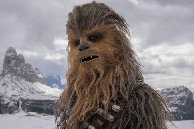 pinkbitch666's tweet photo. Cuando tú fantasía sexual es besar a Chewbacca... https://t.co/9GnzwZW9gX