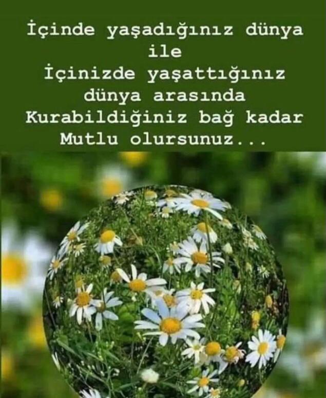 Günaydın.💚
Günışığı ve iyilikle.🌸🌼☀️