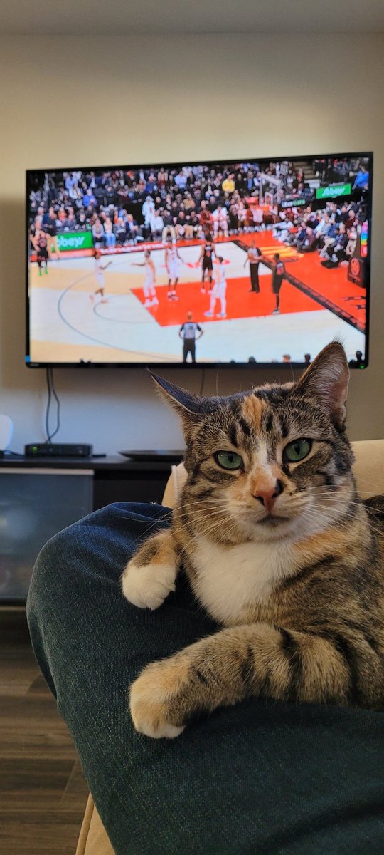 #tangerinefanangle #Raptors Pepper cheering on her team