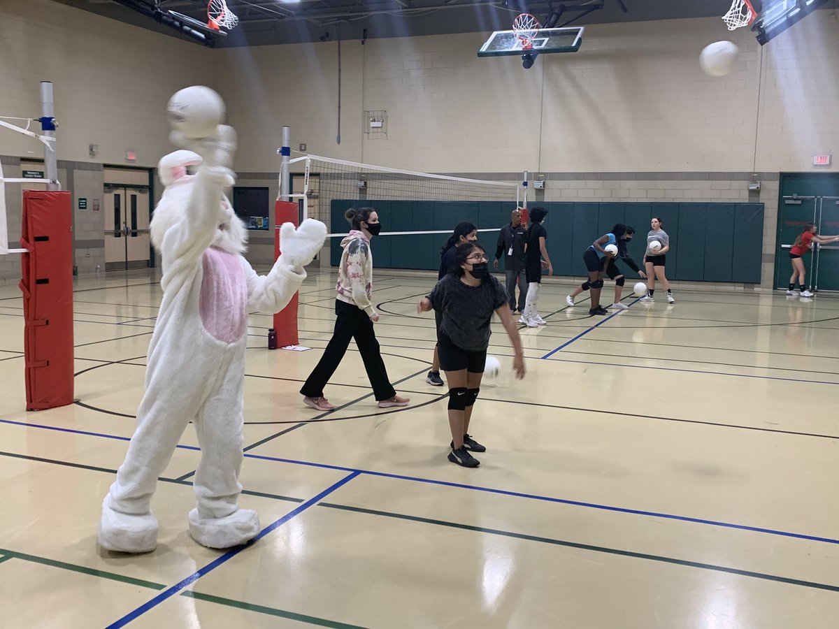 LeydenTwpRec's tweet photo. With all this rain, our pal decided to stop by and help out with some classes at the CC tonight! ๐ฐ
#weareleyden #leydenpride #leydenrocks #easter #bunny #ParksAndRec #ilparks #volleyball #zumba #benchpress #guestcoach https://t.co/RMXmJZYuCk