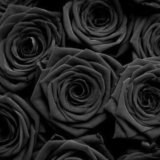 ManeskinFlowers's tweet photo. 📨: anon
╰▸💌: @maneskinishot
✎: rip yo chicken :-/ pot noodle lived a good life
⚘ : black roses https://t.co/Ajwk7ss5GE