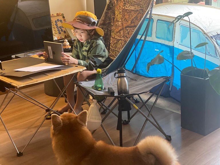 JT33817713's tweet photo. Camp ⛺️ @ Home #stamfordstong https://t.co/jx7LCtrTAn