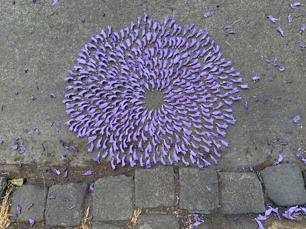 sofia_probert's tweet photo. construí mi ombligo en la calle https://t.co/eLVPGzxatz