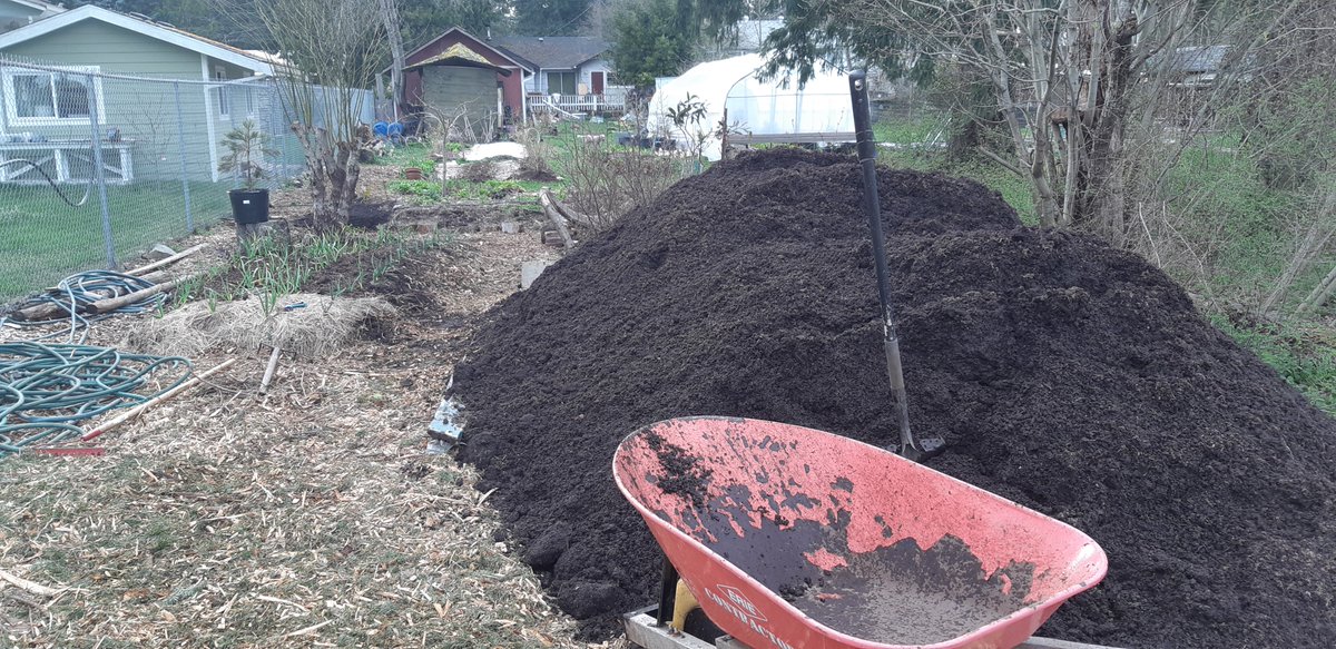 farmer_teacher's tweet photo. #nanaimo expect beautiful bountiful things from this garden in the seasons ahead. #growforit #agriculturalliteracy #gardening #soil https://t.co/gWAMX4Ns7D