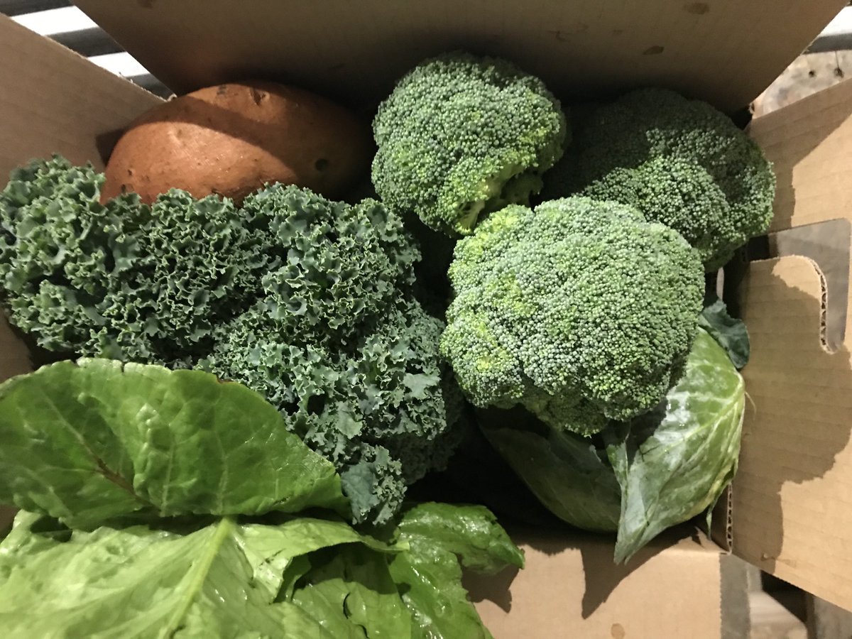 TexasLocalFood's tweet image. From March 24, 2020. Our first veggie boxes for COVID relief from ⁦@TheCommonMarket⁩ ⁦@CommonMarketTX⁩ grateful are we in hometown of ⁦@ElginChamber⁩ ⁦@ELGINISD_ACE⁩