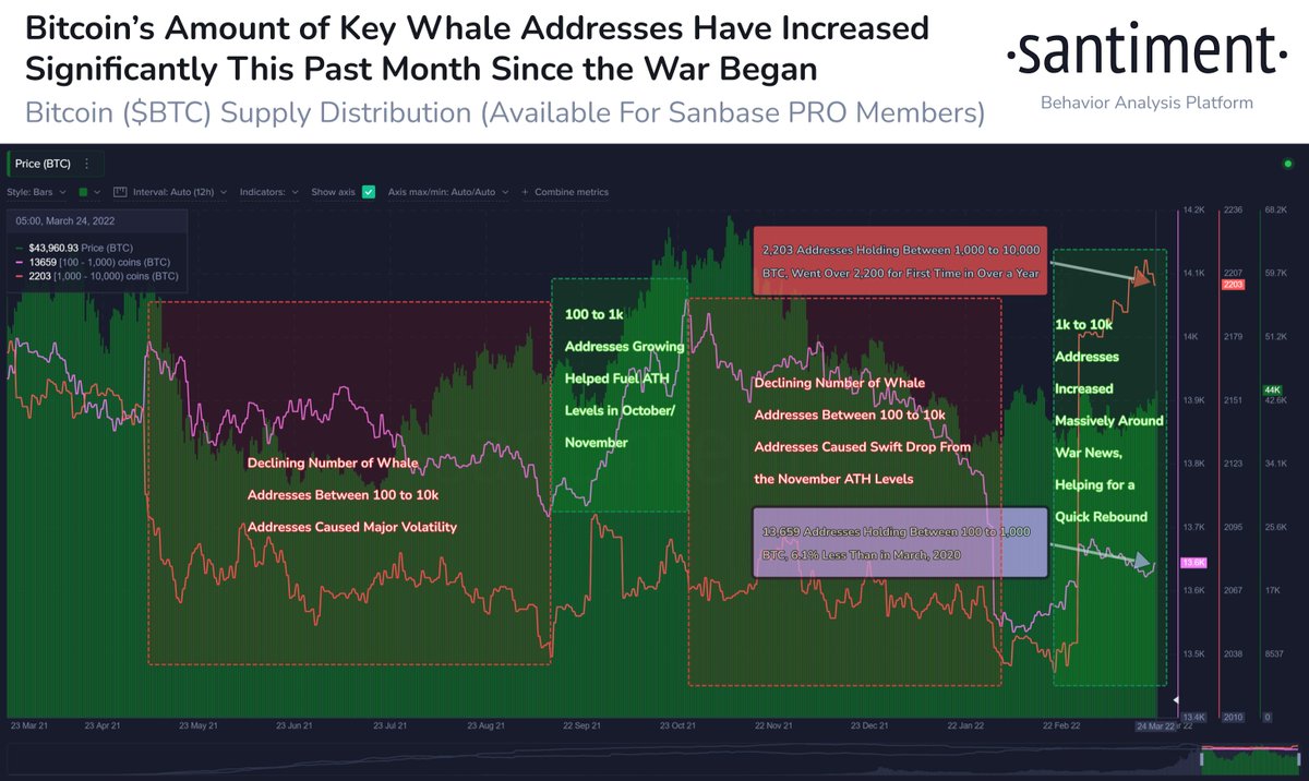 🐳 The amount of #Bitcoin addresses holding 1k to 10k $BTC has jumped by  8.3% since the #Russia-#Ukraine #war was made official. The 2,203 addresses  is at a 1-yr high. Both this