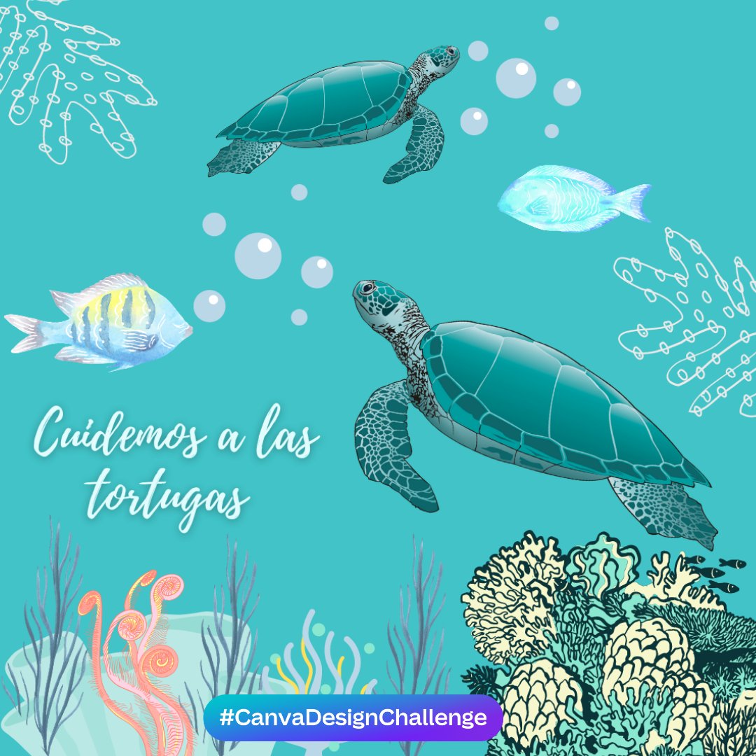 dalys04's tweet photo. #CanvaDesignChallenge
#tortugas https://t.co/QDAJQxDwnP