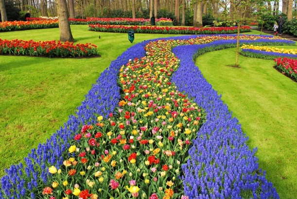 TravelGumbo's tweet photo. #Keukenhof #FlowerShow #Open #TwoYearHiatus  #ttot 

TravelGumbo NEWS
By Travelers, for Travelers

https://t.co/sobjFW8bev https://t.co/VKC5cErFAz