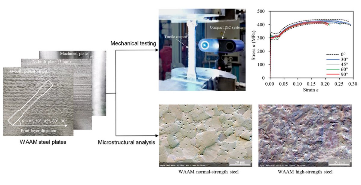 Interested in metal 3D printing? Read our new paper: 'Mechanical testing and microstructural analysis of wire arc additively manufactured steels' by Cheng Huang Pinelopi Kyvelou, @Ruizhi__Zhang, @bmatb, @leroygardner10 #additivemanufacturing doi.org/10.1016/j.matd…