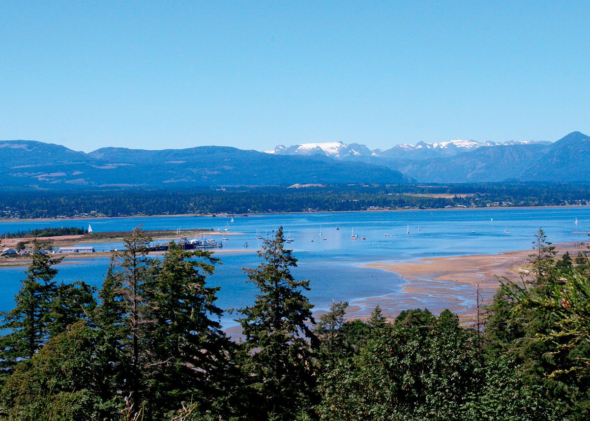 ThankSmodItsFri's tweet photo. @southeastcabin @ronmortgageguy @danielfoch Comox is pretty awesome if I do say so https://t.co/Ze1WaU9EGT
