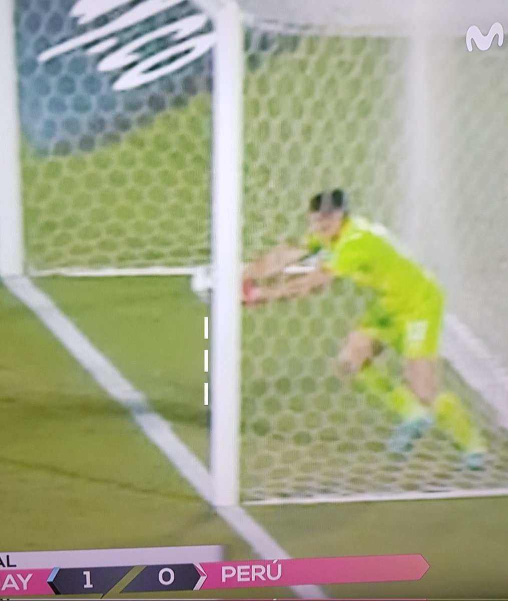 Alerta News 24 tweet media