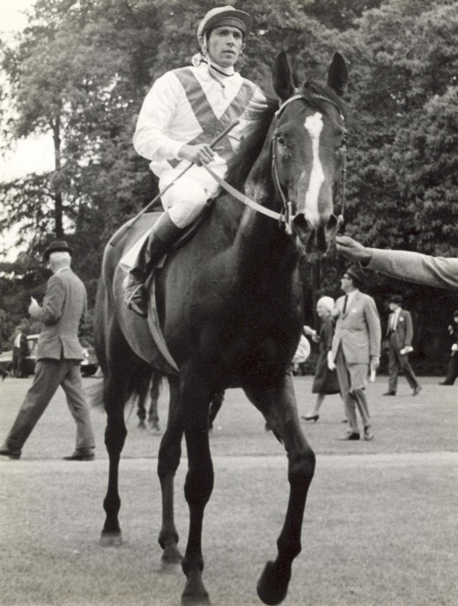 HORSERACING1002's tweet photo. APPIANI II (HERBAGER) #Appiani
Champion 3 year old colt in Italy, Leading sire in Germany https://t.co/N7OcXN5GkO