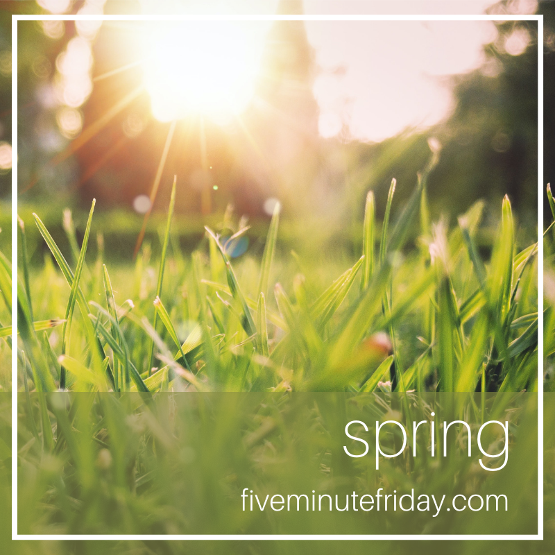 It's writing time! This week's Five Minute Friday writing prompt is: SPRING  . . . Join the link-up and read other posts here: fiveminutefriday.com/2022/03/24/fmf… #fiveminutefriday #spring #writingprompt #writers #writing #fmfparty