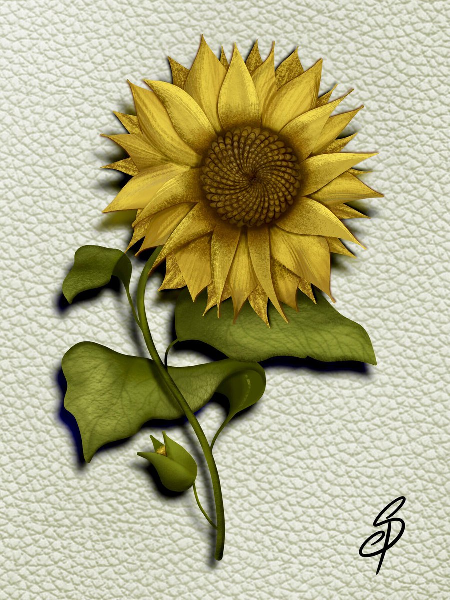 Mrs_Pritchard_'s tweet photo. A belated #2022CreativityChallenge. #Week11 - #Coil (slightly tenuous but the seeds and petals follow a Fibonacci spiral and I wanted to try drawing a 🌻). It’s not perfect but it’s 2am and I have school tomorrow so I’ve just signed it.
@2022WCC @ProcreateEDU 🇺🇦 https://t.co/ax1HikaKY7