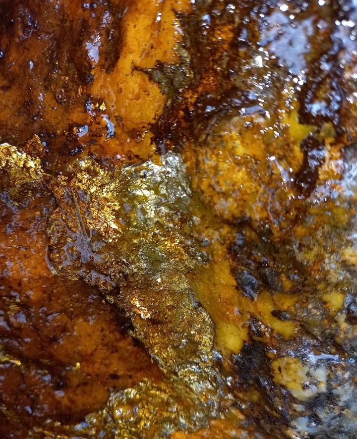 BankBankgold3's tweet photo. Hello investor friend, we are the only company that has created a cryptocurrency with gold called BANKGOLD, you can withdraw your gold at any time. https://t.co/unn4LtWGbV https://t.co/acTgTHY89u
