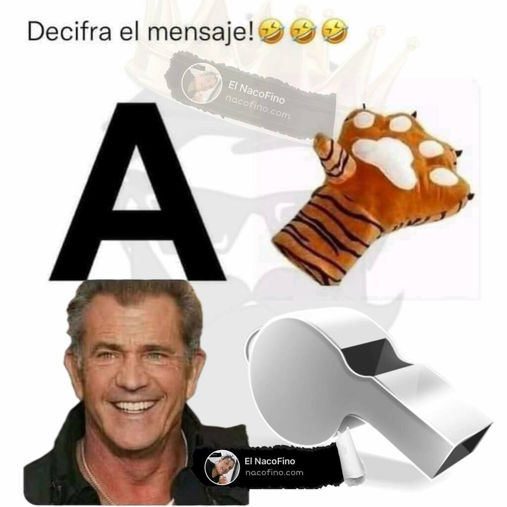 TuzoFino's tweet photo. #TuzoFino #Pachuca #Hidalgo #Cotorrea en #ElVIP del #nacofino #mailob π€ͺ https://t.co/Pe9RqYFYTJ