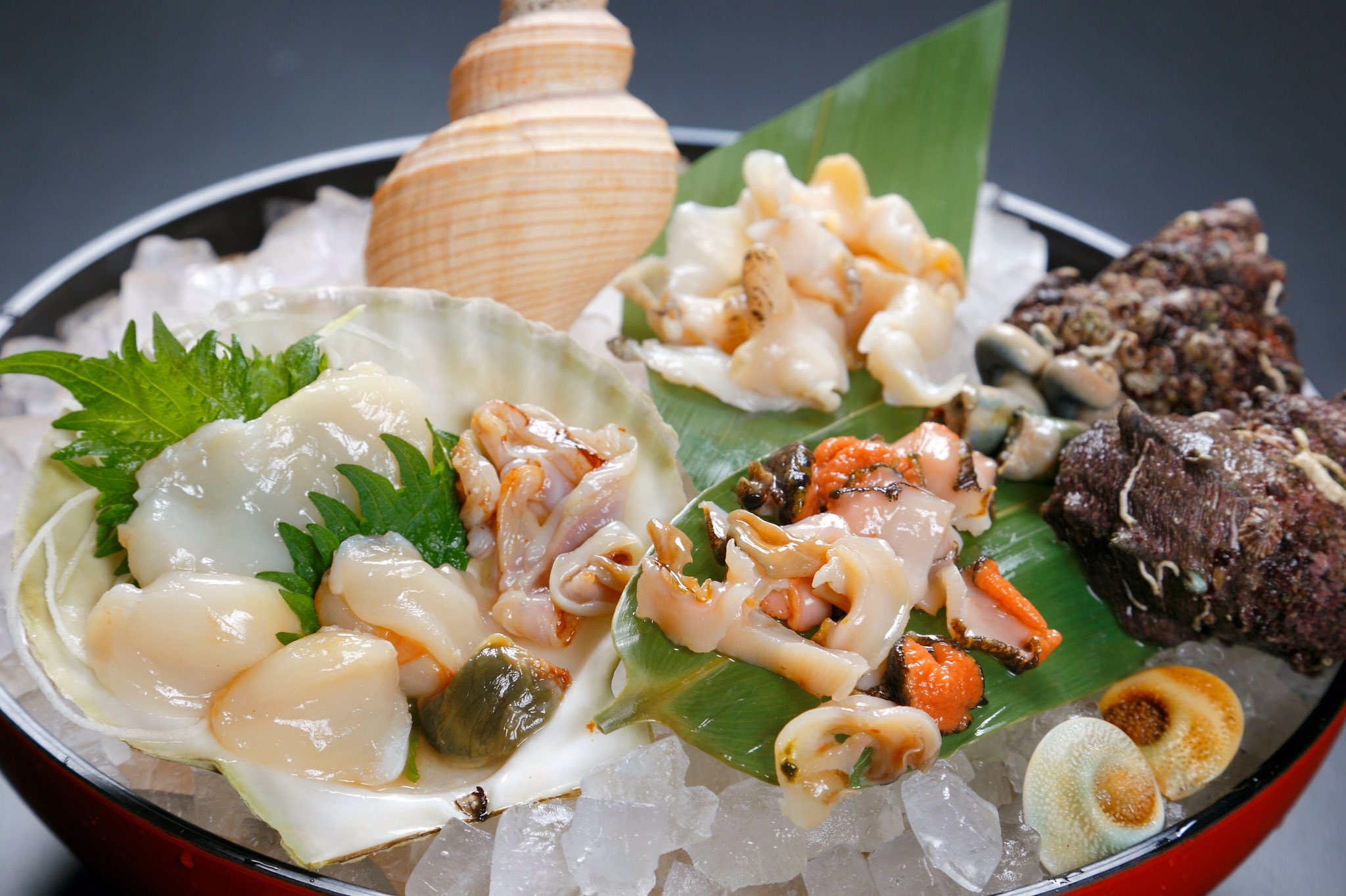 敦賀ランチ Twitter Search Twitter