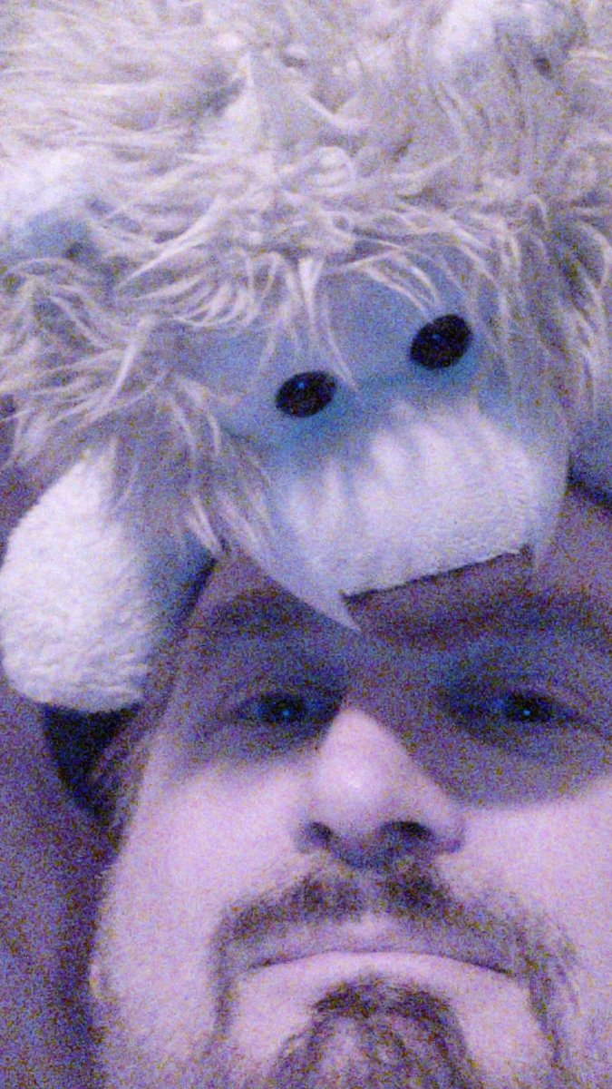 jeffe7FQ's tweet image. 22nd Law of Leothynamics
One does not simply &apos;go to bed&apos; without a lion in his head