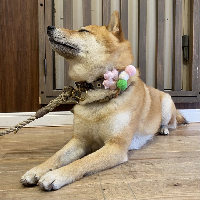 Gallery Marusanさんのイラストまとめ