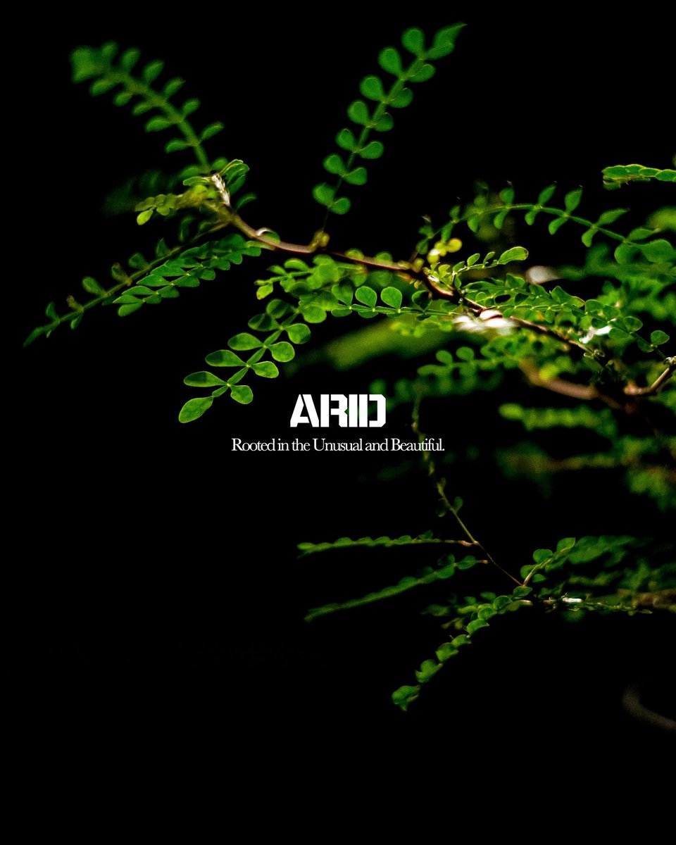 Three pillars. Two subdivisions. One umbrella.