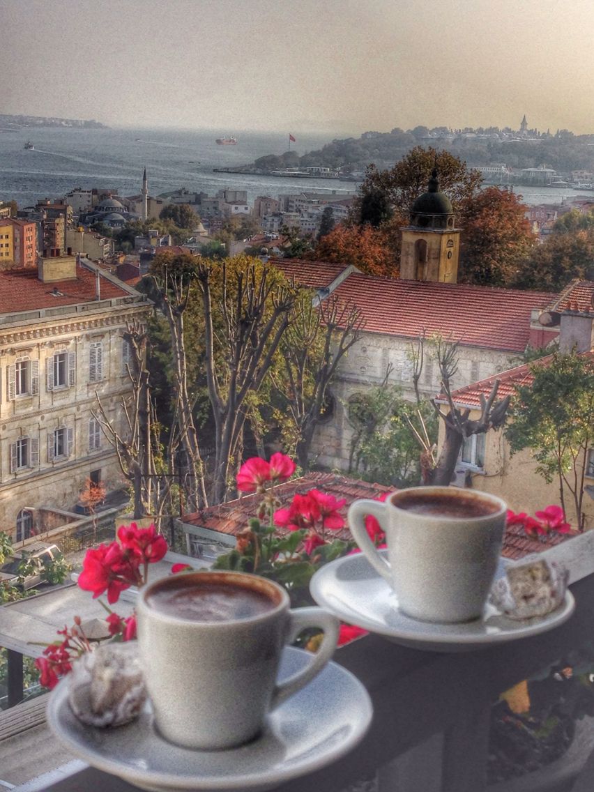 Ambreen86026045's tweet photo. Always remember that you are absolutely unique. Just like everyone else." 

~Margaret Mead

GOOD MORNING DEAR FRIENDS...

#TravelPhotography https://t.co/27jWredKKK
