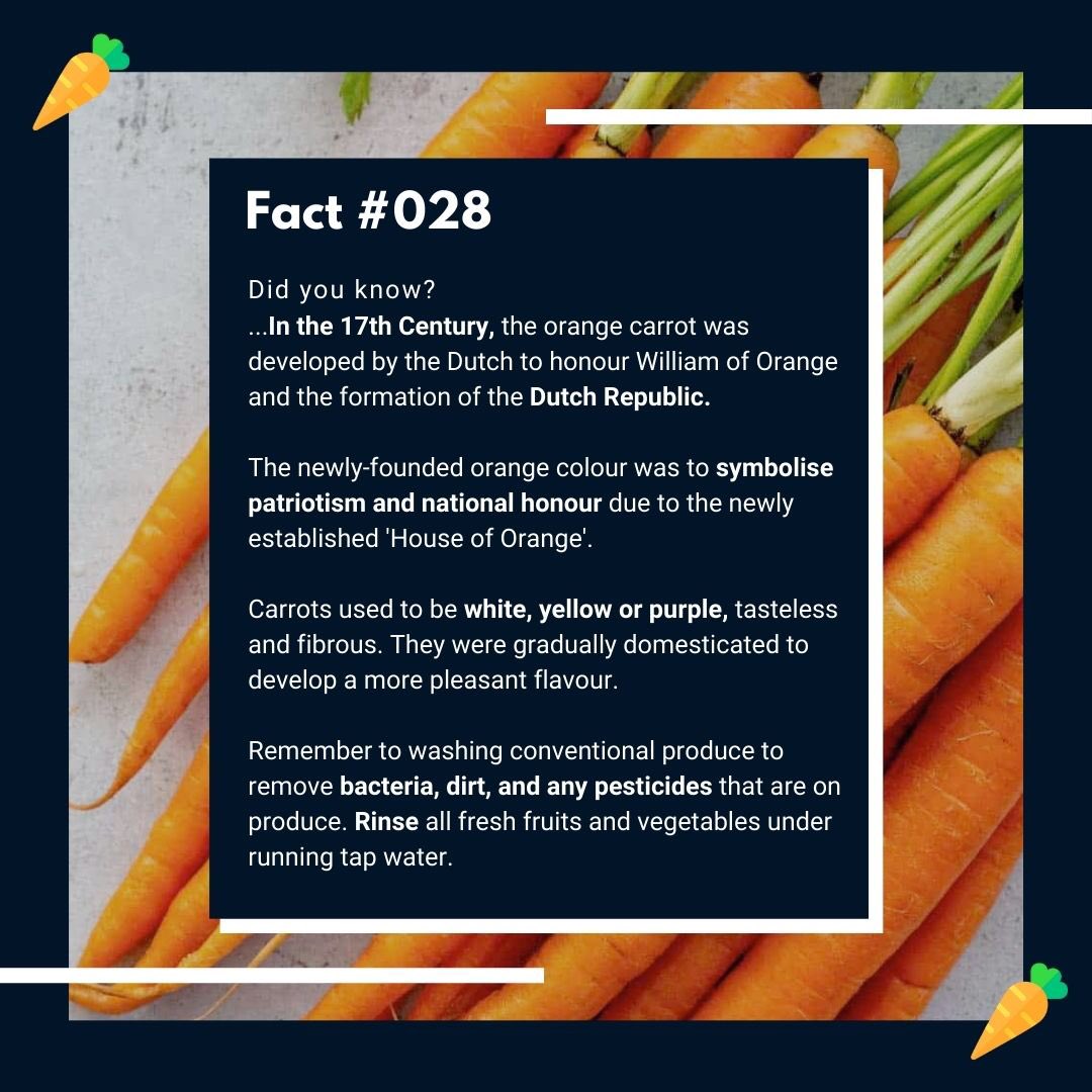 EHCFoodSafety's tweet photo. Were carrots always orange? Let’s take a look at this week’s food fact and uncover the mystery together 🥕

#foodsafety #carrot #carrotcake #carrots #dutch #sydneyfood #sydneyhistory #foodie #sydneyeats #foodwash #foodwashing #allergens #17thcentury #17th https://t.co/f2Yoi6laMY