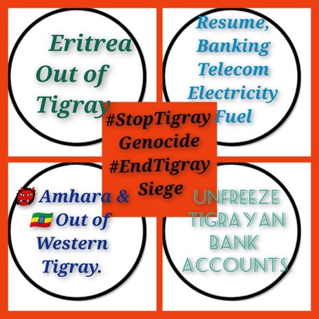 RandaHabib's tweet image. That’s what #Tigray need 👇