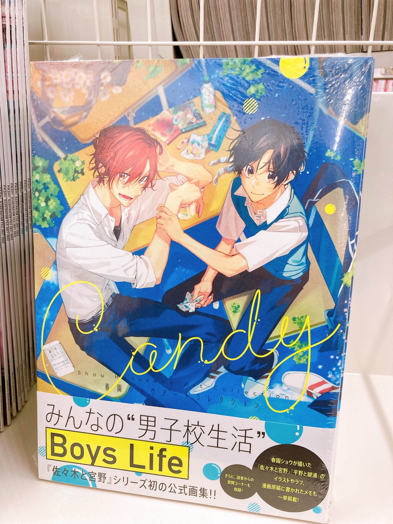 【全商品オープニング価格 特別価格】 Candy - 春園ショウアートコレクション とらのあな 特典 小冊子 女性漫画