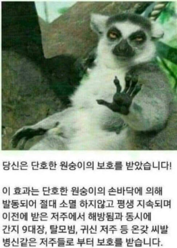 auxu3n's tweet photo. @HOKAGOHORROR https://t.co/nHHVnNi9HC