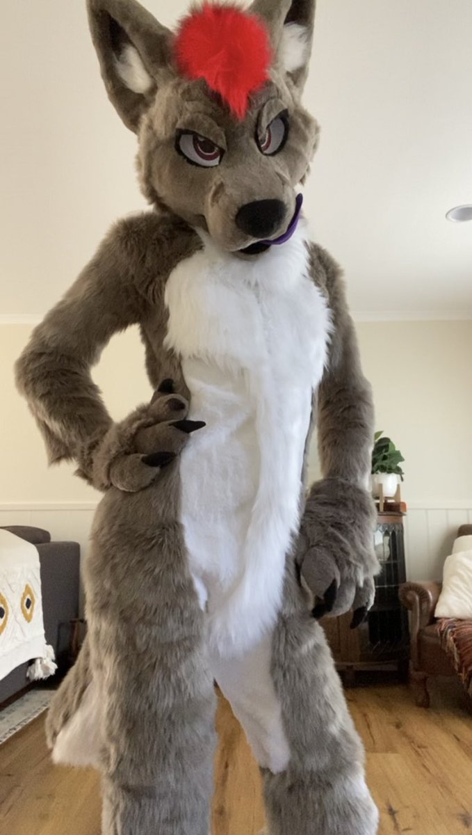 ✨DUST✨ tweet media