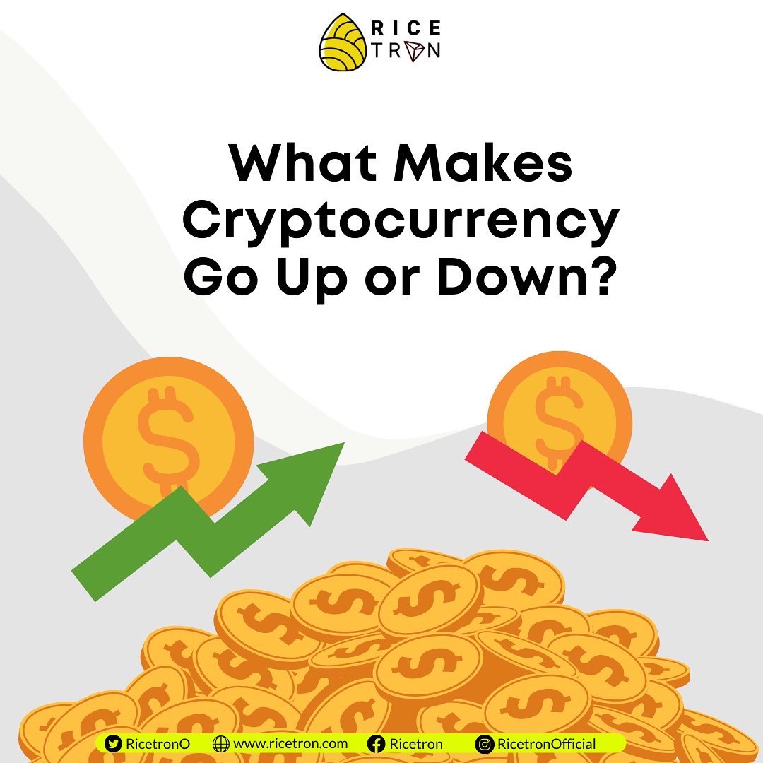 Ricetron Official tweet media
