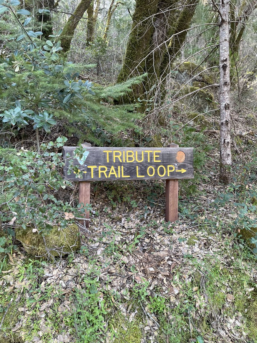 Outside_Inn's tweet image. What trails have you explored lately in #nevadacity