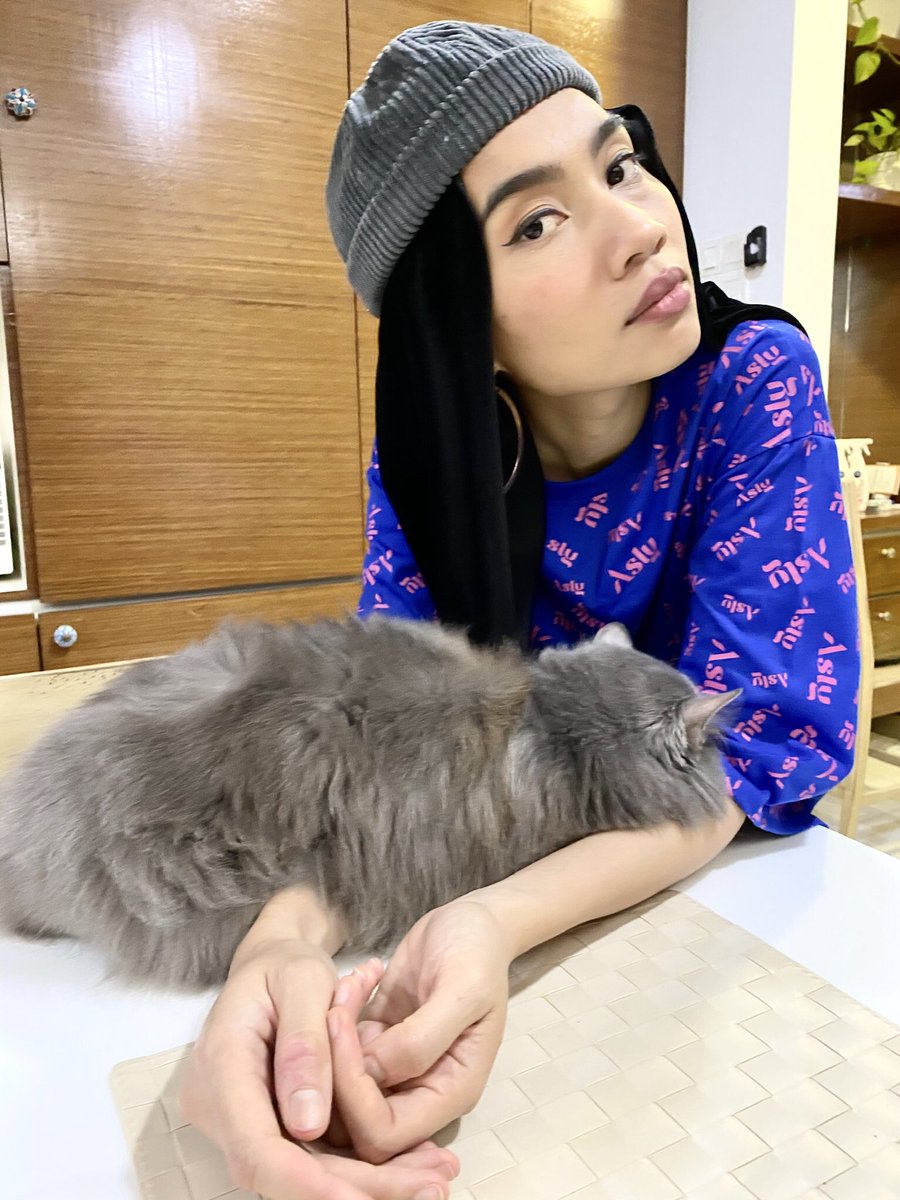MISSING CAT! 

Hello friends living around Sek9 Shah Alam! Our family cat hasnt come home since last night and we are worried. She rarely goes out! If you find her please call!!