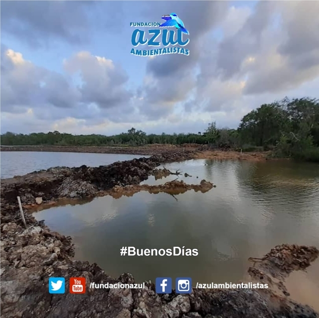 fundacionazul's tweet photo. #FelizViernes 😀

☀️ Con el Sol deslumbrante de #Cuare 🦩, en estado #Falcón 🏜️, aprovéchalo para seguir llenando nuestro Planeta de buenas acciones 🌎

🔗 https://t.co/WOYXBerPKu 💙 https://t.co/NhJ1glfeac