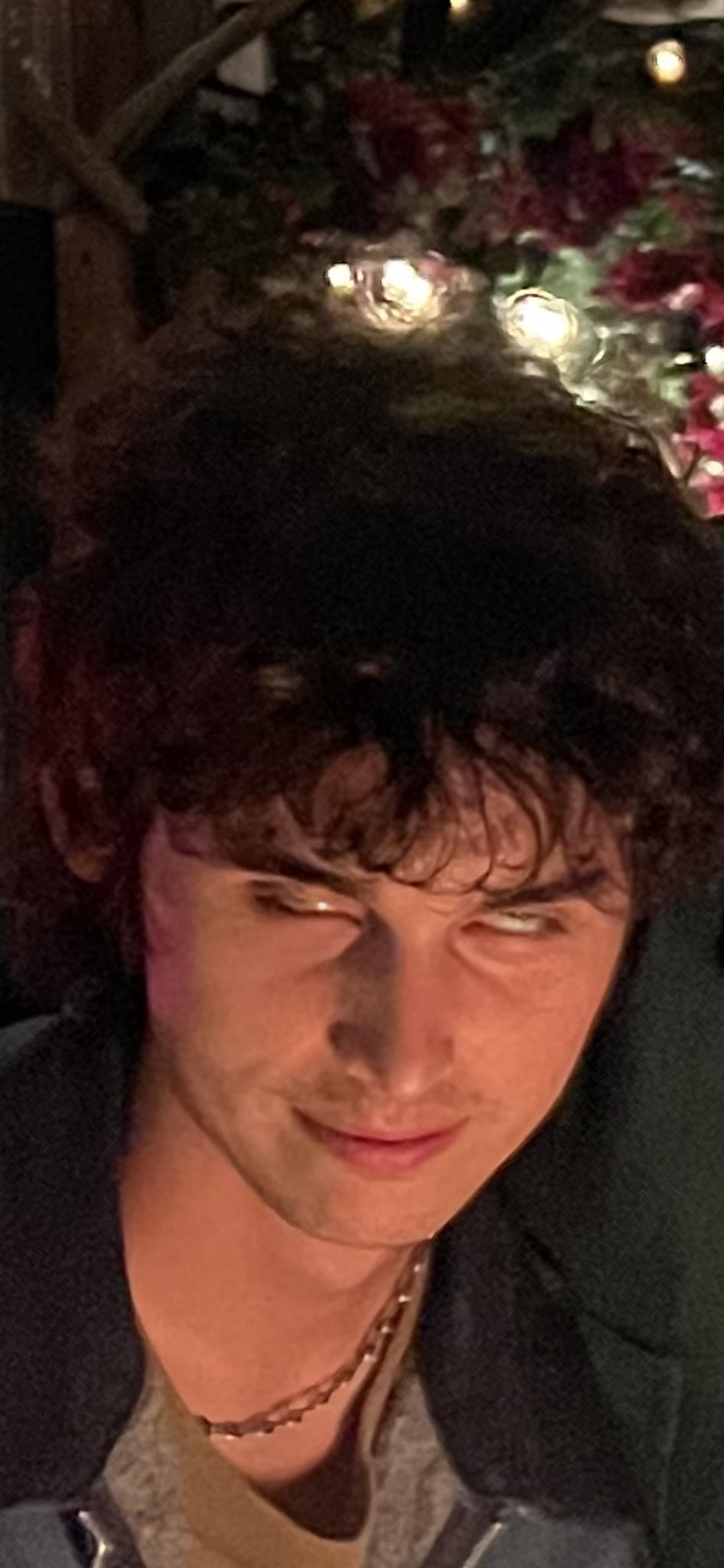 Wallows (@wallowsmusic) / Twitter