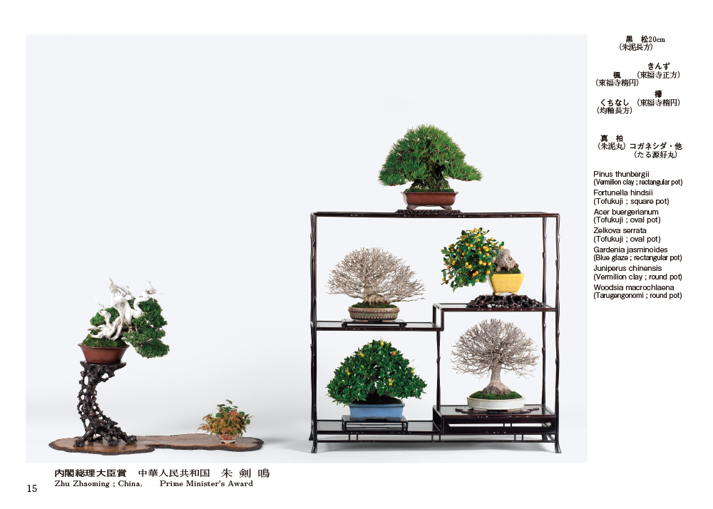 盆栽鉢 二代東福寺 2鉢 早い者勝ち 盆栽鉢 二代東福寺 2