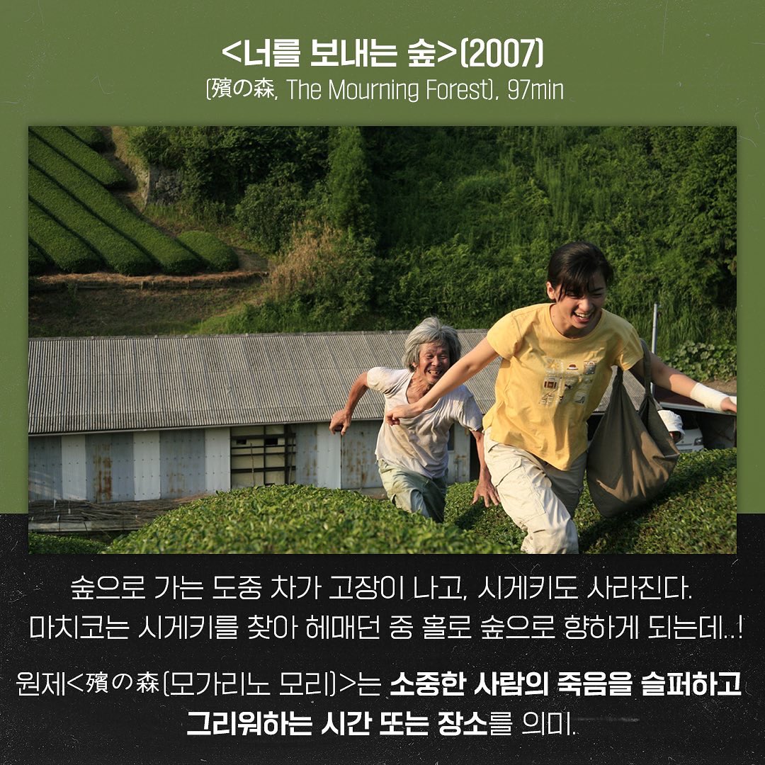 🎬 4K 감독 #가와세나오미 가와세 나오미 KAWASE Naomi 河瀬直美 <#달팽이:나의할머니> (1994) <#수자쿠> (1997) <#너를보내는숲> (2007) 🎬상영시간표📸...