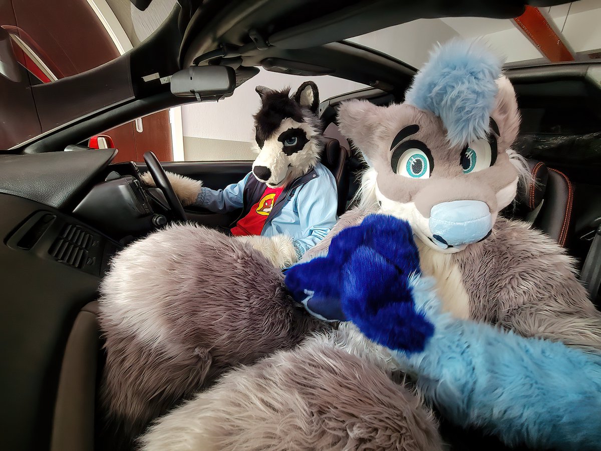 ctwolf88's tweet photo. Time to #dropthetop and go for a drive @hoardercollie  #FursuitFriday #motorfurs
Taken by @Zakaii_Jin https://t.co/z9NkulU9vN