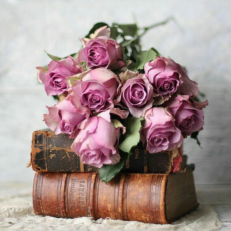 md_lko's tweet photo. *اپنوں کی غلطیاں بھی اپنی ہی ہوتی ہیں مل جل کر سدھار لینی چاہئیں*
   *انا اور تکبر*
*کی دستار باندھ کر دوسروں کے جھکنے کا انتظار نہیں کرنا چاہیے*

*یہی رشتوں کی بقاء کا راز ہے https://t.co/03NPUQdivW