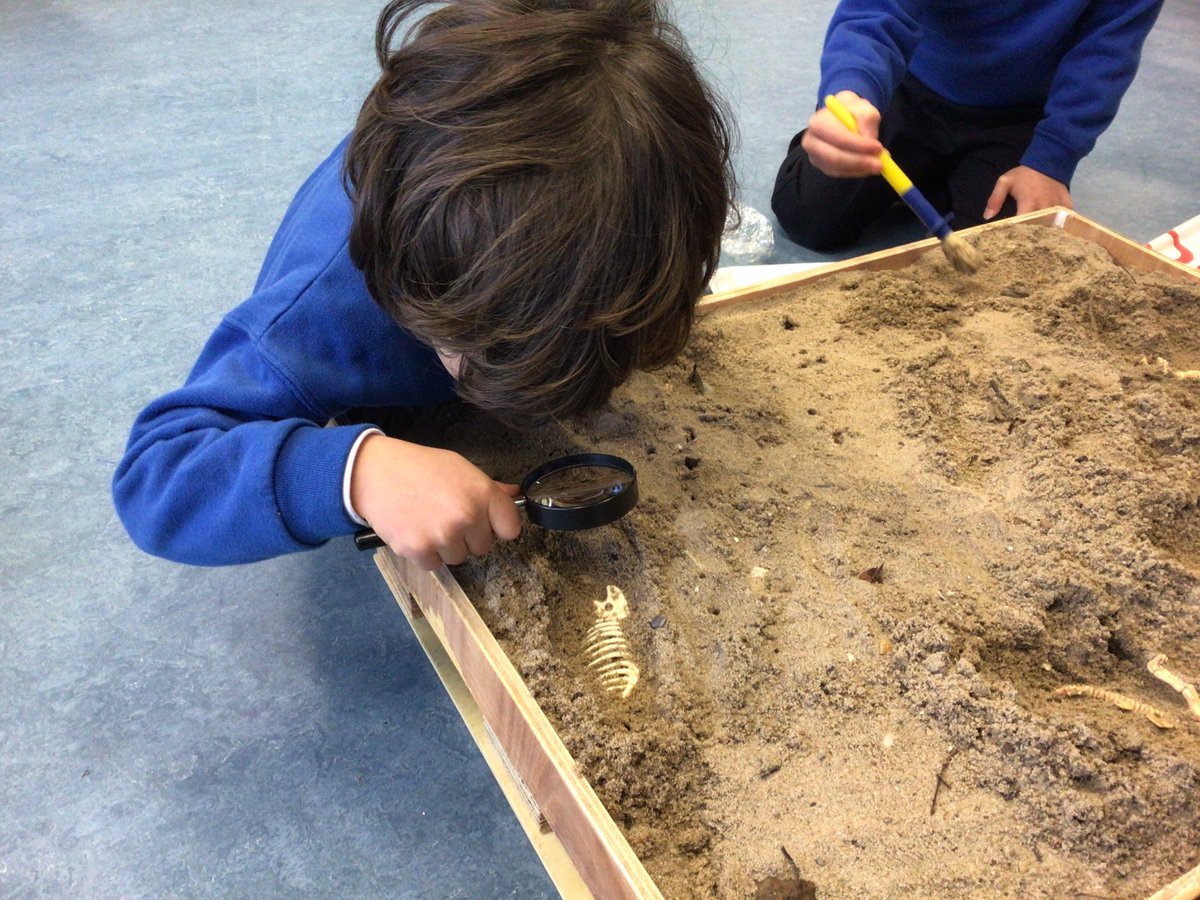 BSNJSV's tweet photo. #JSVFoundation2 have taken on the role of a paleontologist #JSVF2 https://t.co/MUFslbllq3