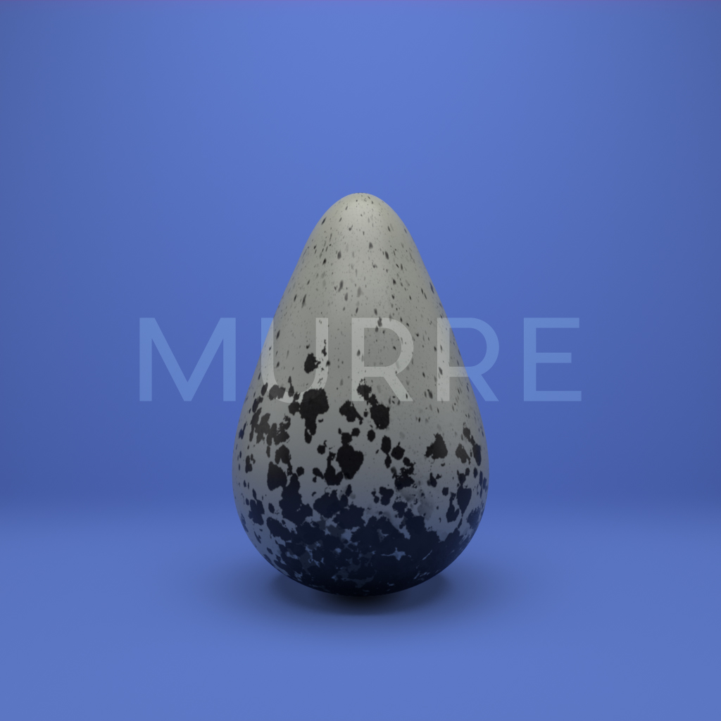ShellRuin's tweet photo. A sneak peek of Wave 02 - 05 Murre soon available on @FeaturedBinance. Stay tuned https://t.co/fPSINLwzi4 #nfts #nft #NFTCommunity #NFTPublication #BNB #featuredbinance #eggs https://t.co/nNeKXjdrQ5