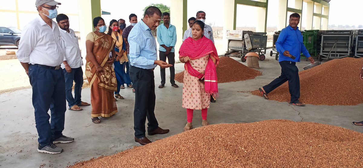 Additional Collector, RajannaSircilla tweet media