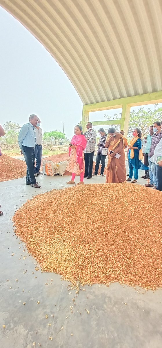 Additional Collector, RajannaSircilla tweet media