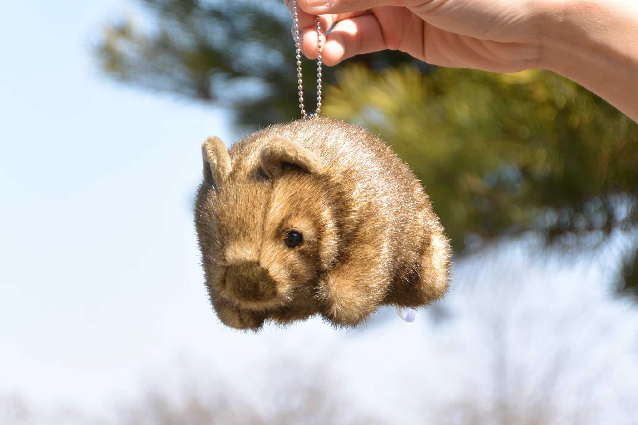 長野市茶臼山動物園【公式】 on X: 