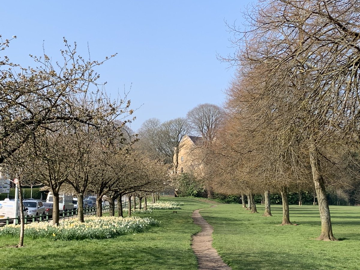 DrGeraintPreest's tweet photo. #Pontcanna #NotParis https://t.co/jYSy06s386