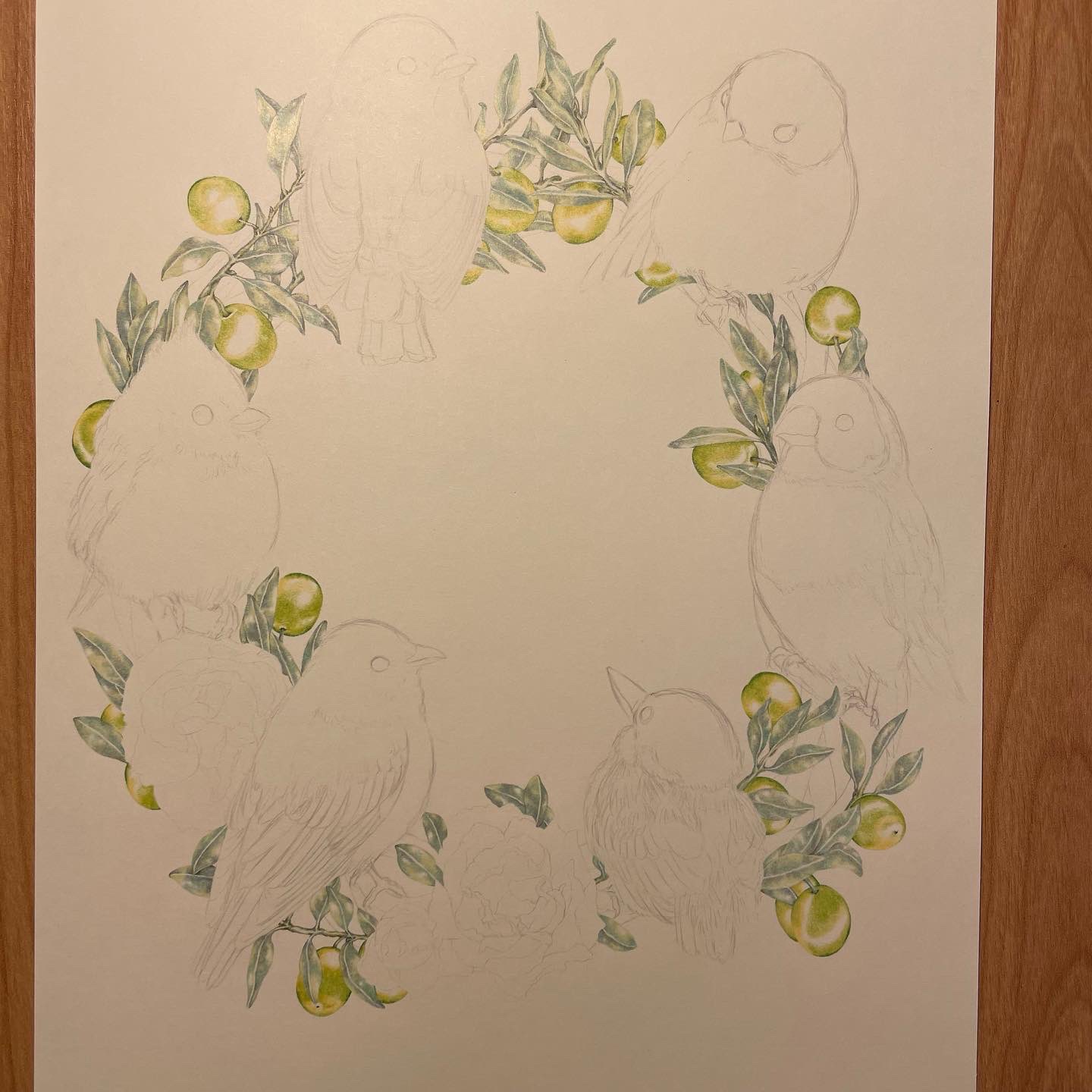 Maturika 大好きな香川県の県木 オリーブの花言葉は 平和 知恵 オリーブ 鳥 絵 イラスト いろえんぴつ画 絵画 アート Illustration Art Picture Pencil Coloredpencils T Co Tatwur0pfl Twitter Maturika 大好きな香川県の県木 オリーブの花言葉は 平和 知恵 オリーブ 鳥 絵 イラスト いろえんぴつ画 絵画 アート Illustration Art Picture Pencil Coloredpencils T Co Tatwur0pfl Twitter