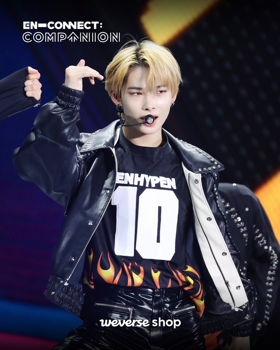 wonkittens's tweet photo. https://t.co/p5FbLV1MIU