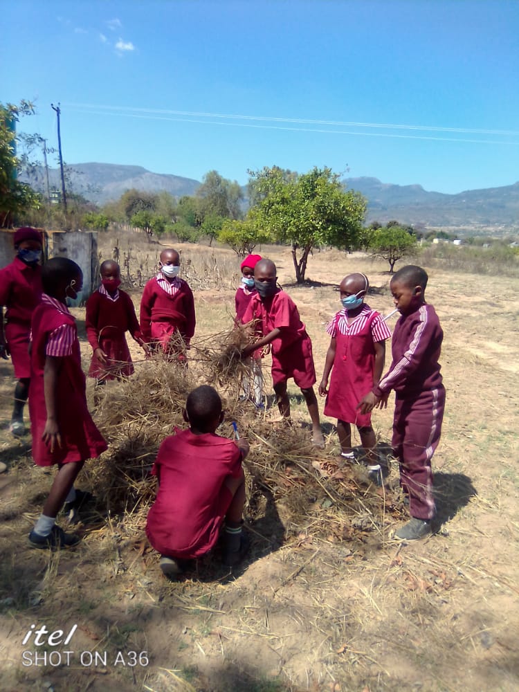 Agriculture lesson at Rowa Primary School. Children can develop skills in leadership, communication, team building through participation during this session. <a href="/PlanZimbabwe/">Plan Int' Zimbabwe</a> <a href="/UNICEFZIMBABWE/">UNICEF ZIMBABWE</a> <a href="/childlinezim/">Childline Zimbabwe</a> <a href="/nango_eastern/">NANGO EASTERN</a> <a href="/MoPSEZim/">Ministry of P&S EdZW</a> <a href="/toyboxcharity/">Toybox</a> <a href="/acf/">Action Against Hunger / Action contre la Faim</a>