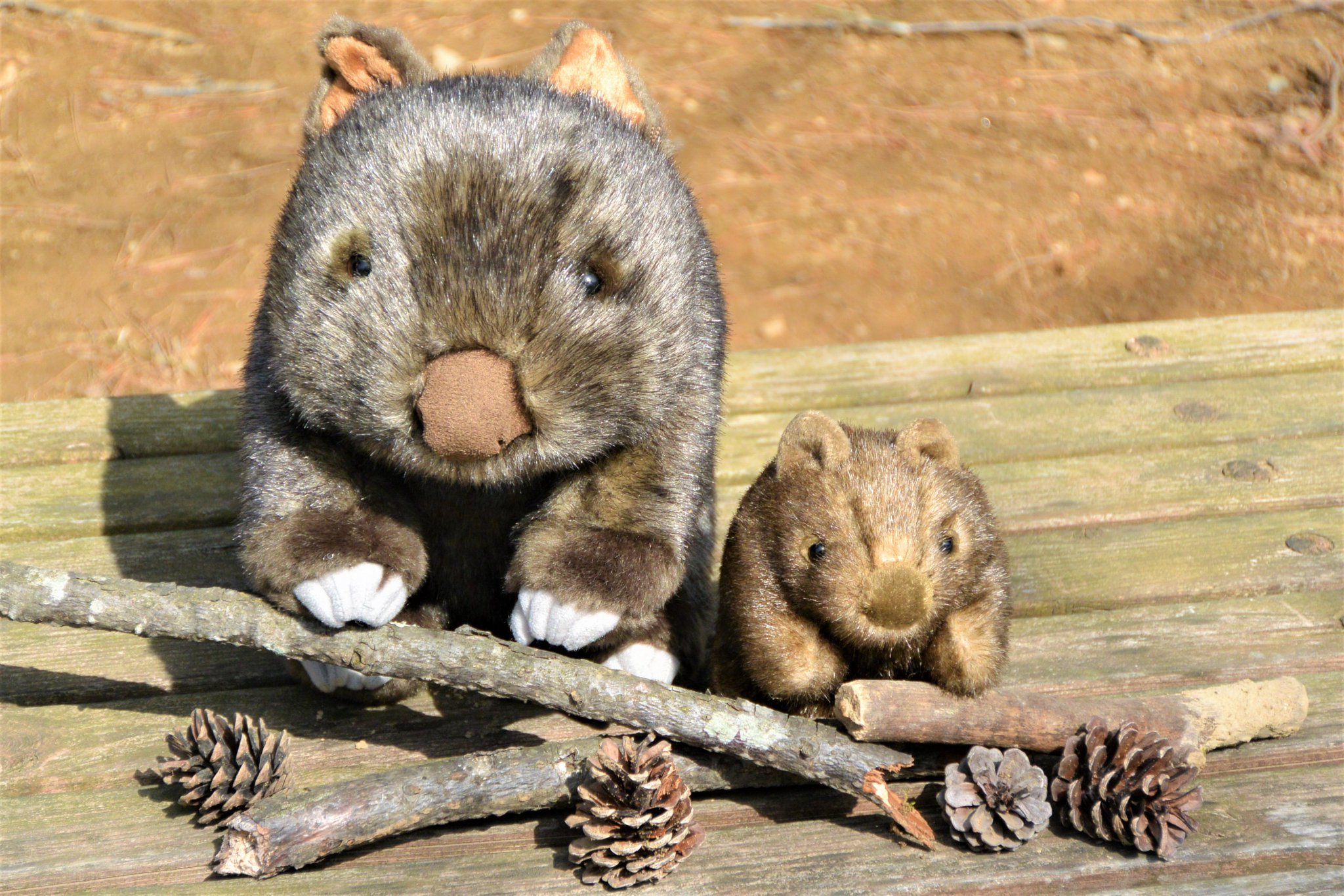 ウォンバットぬいぐるみ　茶臼山動物園　ウォレス 長野市茶臼山動物園【公式】 on X: 